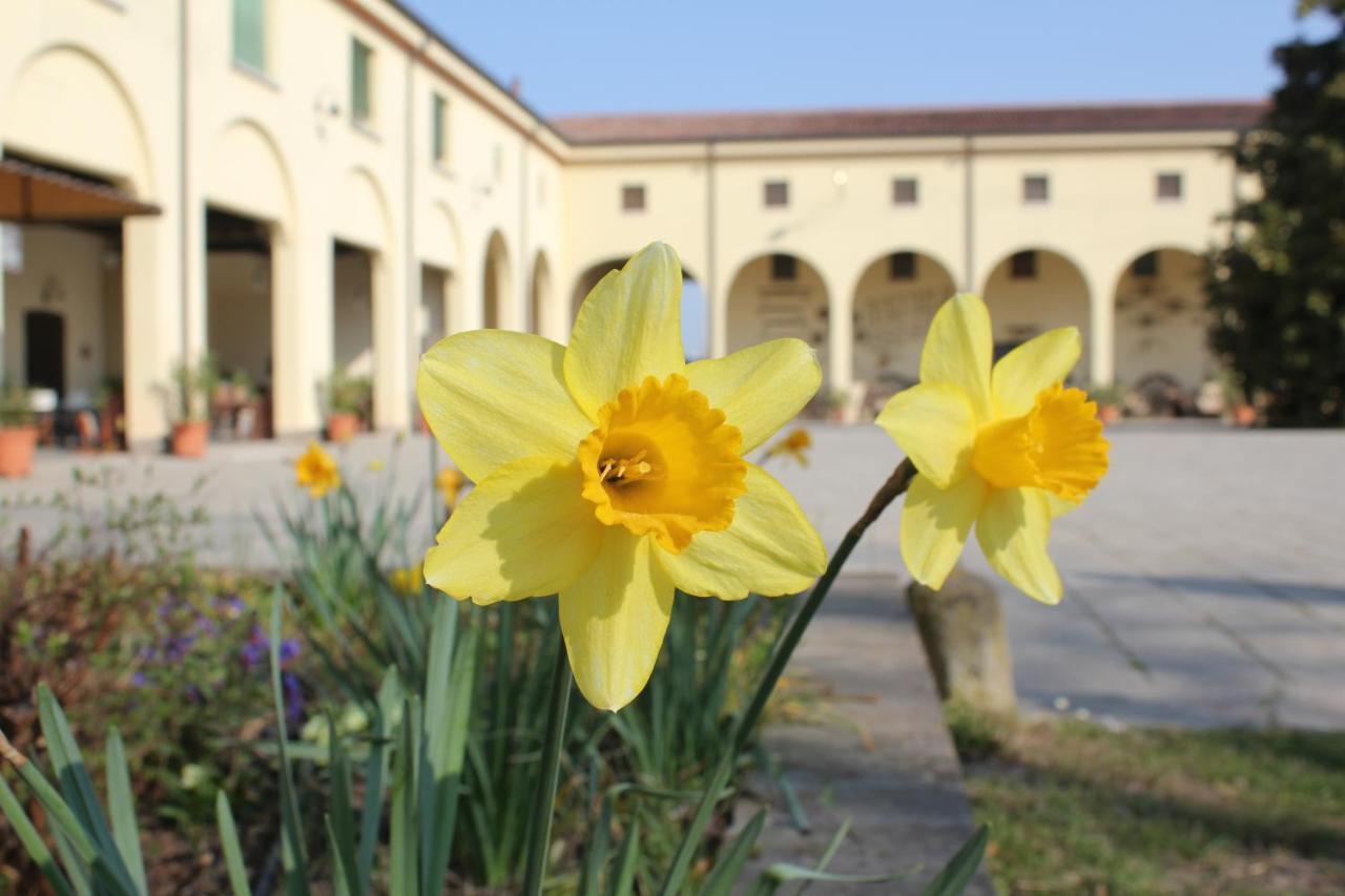 Agriturismo Corte Carezzabella San Martino di Venezze Luaran gambar