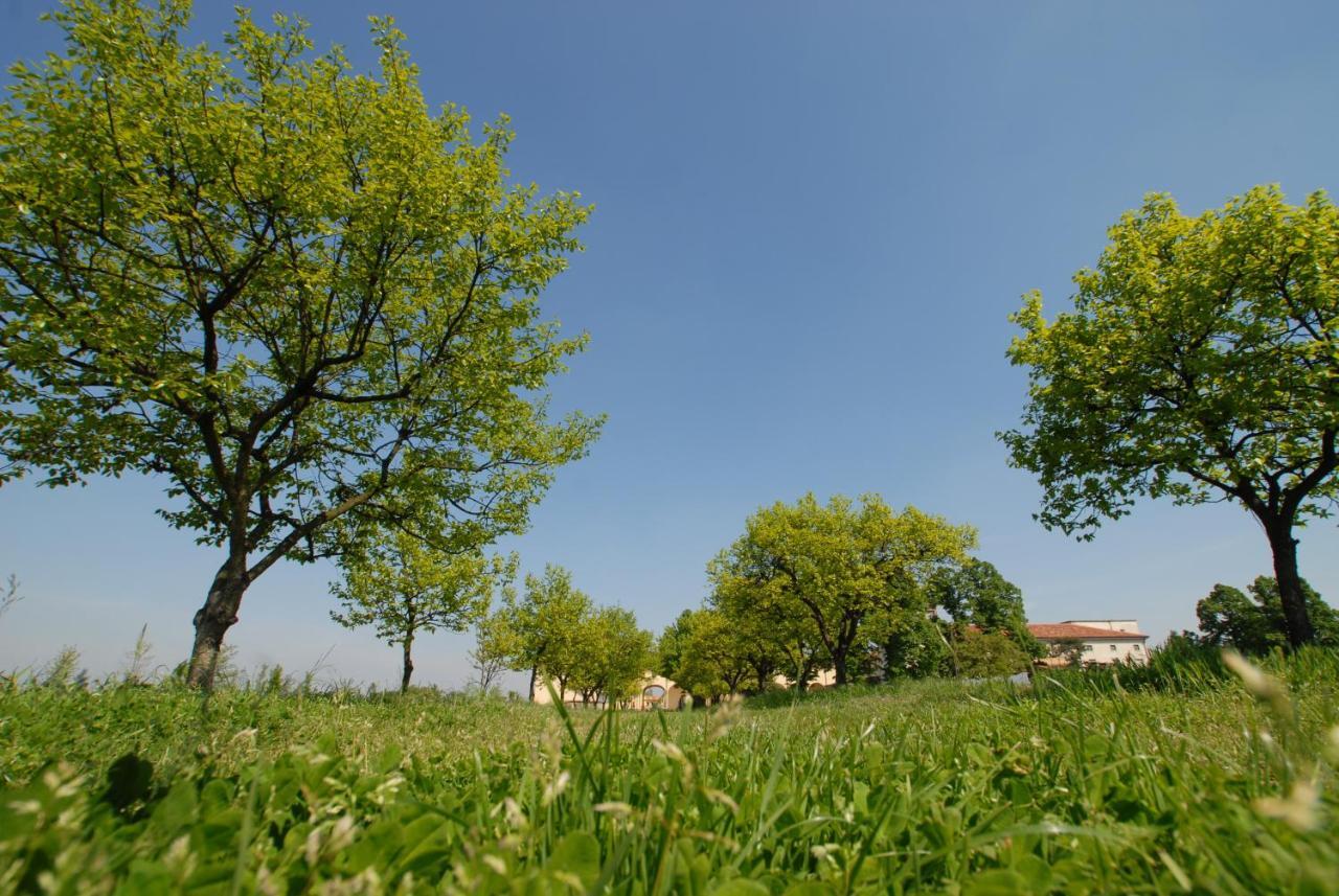 Agriturismo Corte Carezzabella San Martino di Venezze Luaran gambar